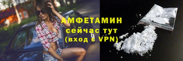 молекула духа Пестово