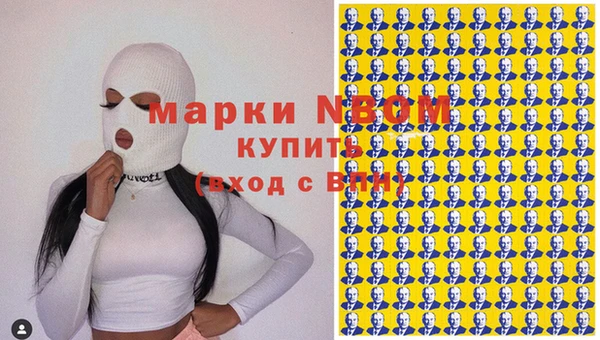 спиды Богородицк