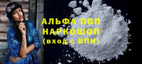 спиды Богородицк