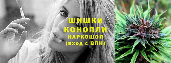 СК Богородск