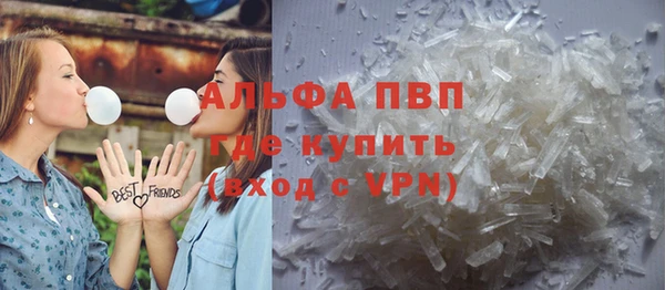 ПСИЛОЦИБИНОВЫЕ ГРИБЫ Пересвет