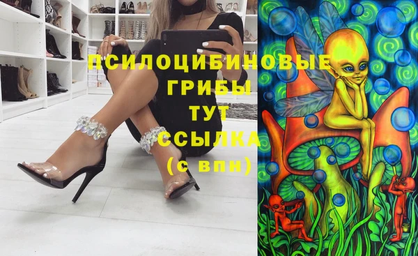 скорость Богданович