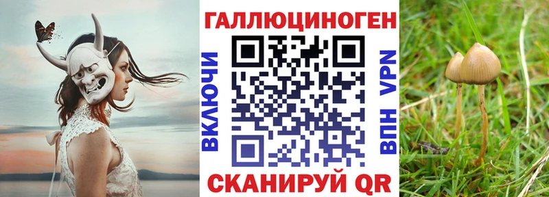 Галлюциногенные грибы MAGIC MUSHROOMS  мега вход  Богородск  продажа наркотиков 